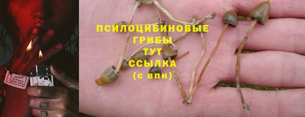 метадон Заводоуковск