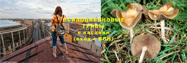 метадон Заводоуковск