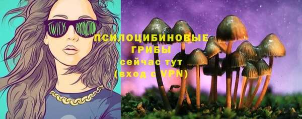 метадон Заводоуковск